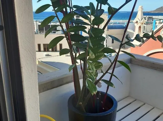 Casita Sunwaves- El 19 De Padre Cueto, Canteras דירה